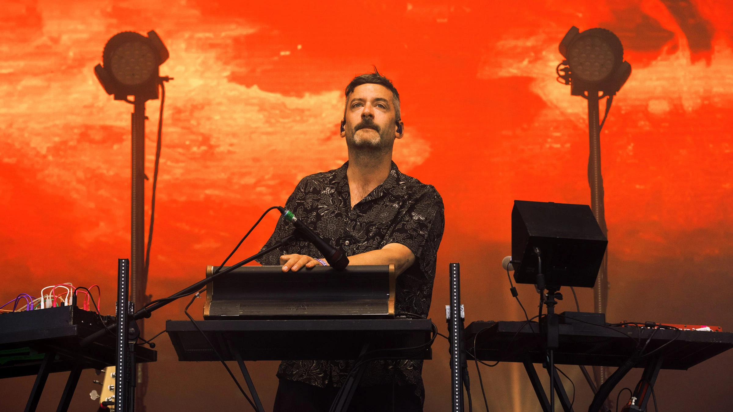 Bonobo