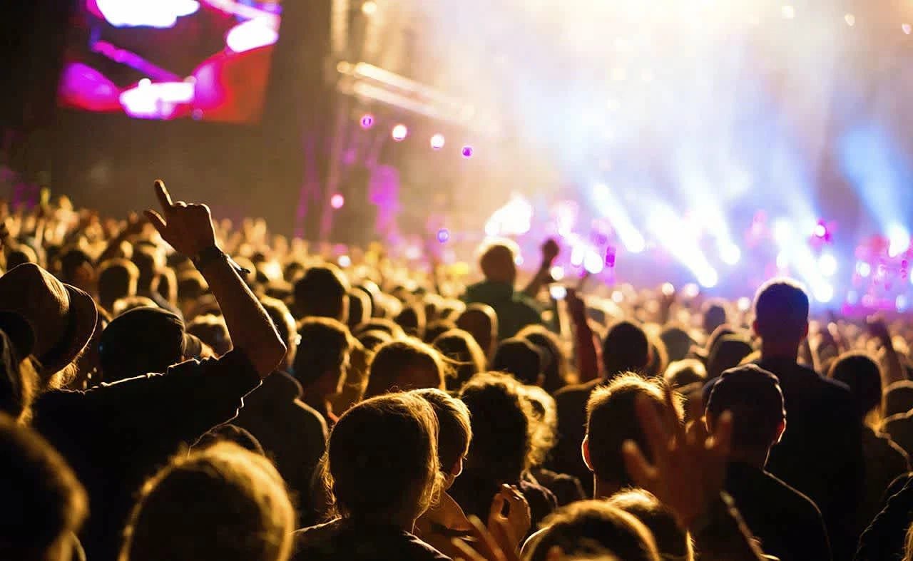 Sparrow and Kasango