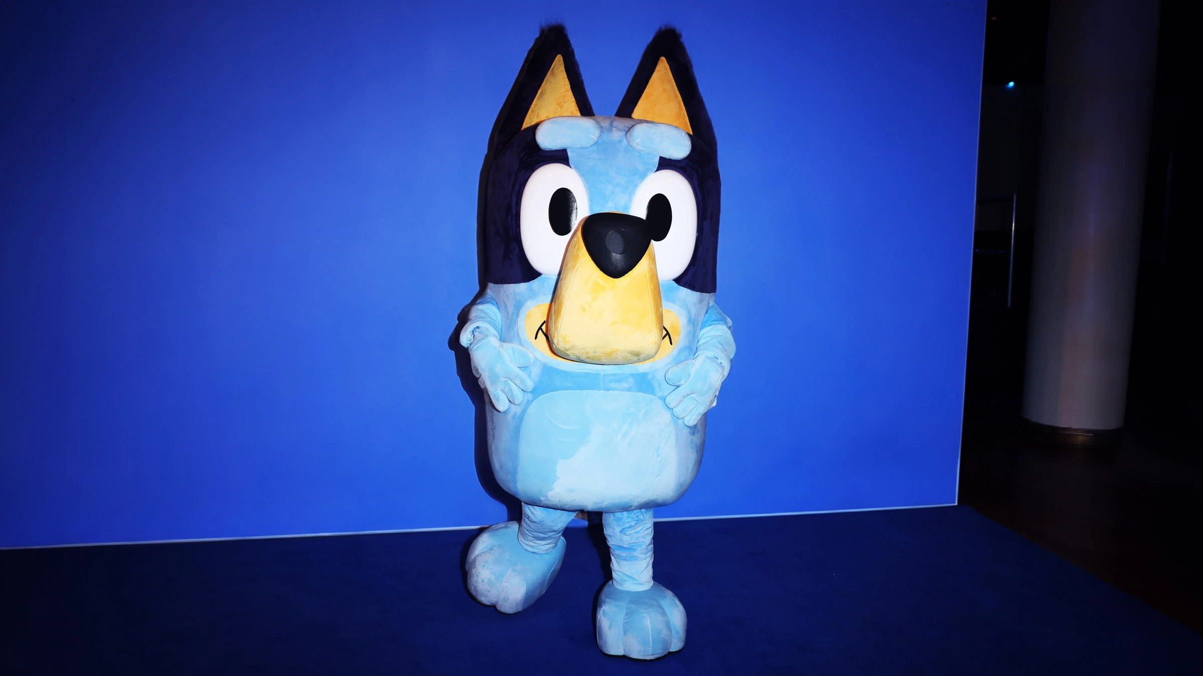 Bluey's Big Play