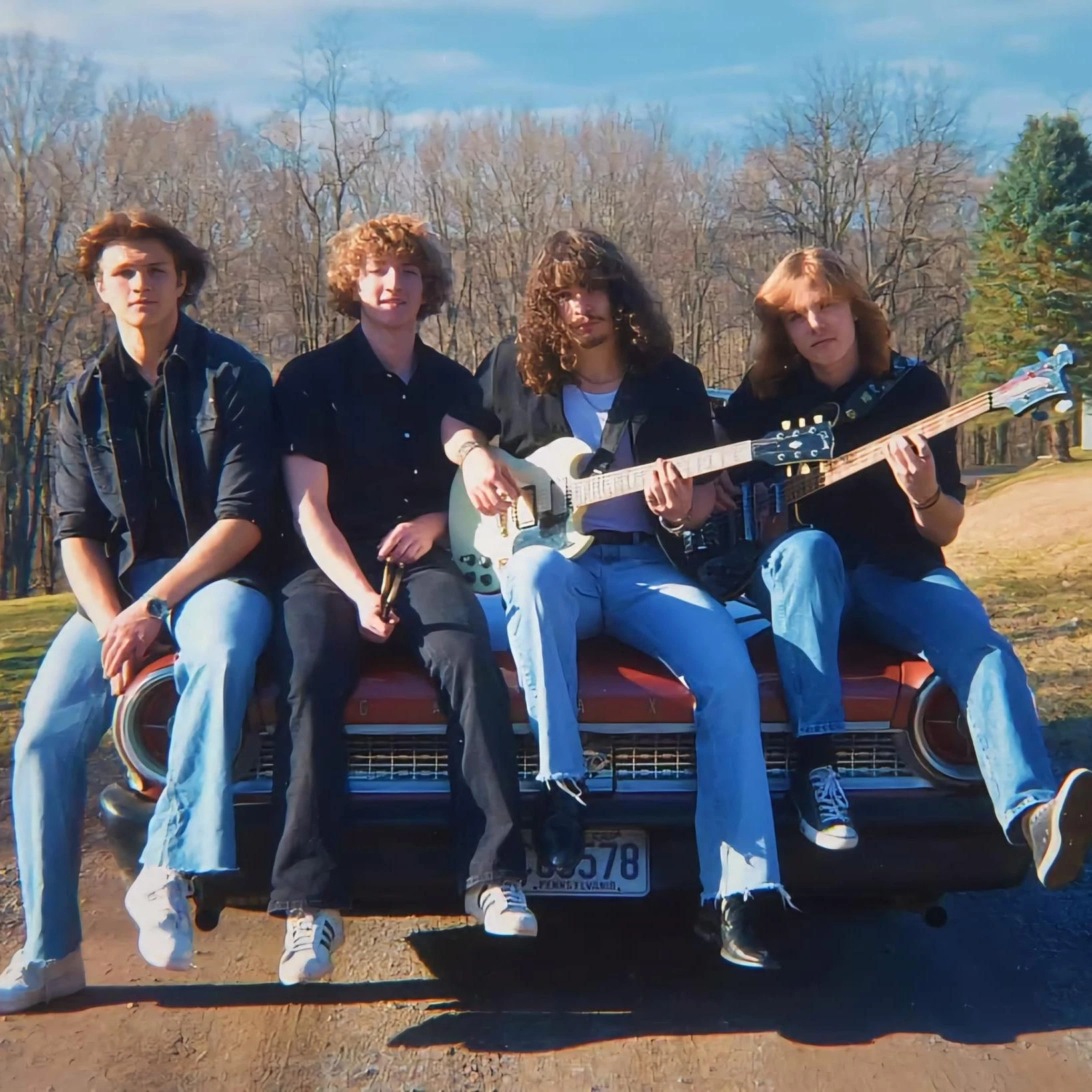 The Pines