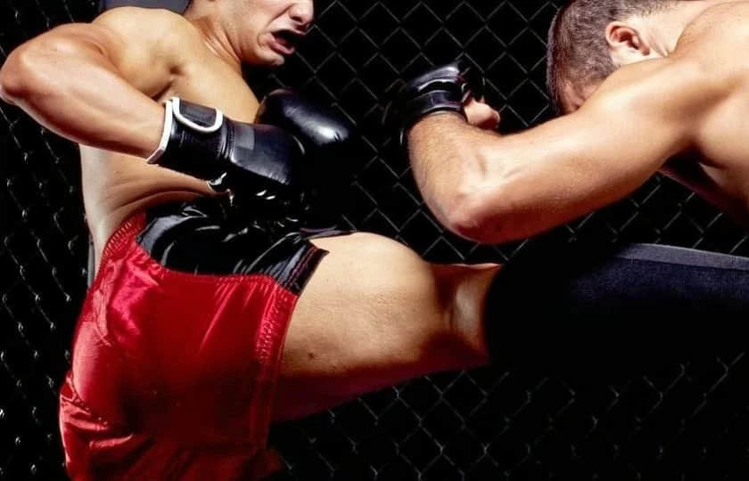 Lucha De Los Muertos 6 Jaula De La Muerte